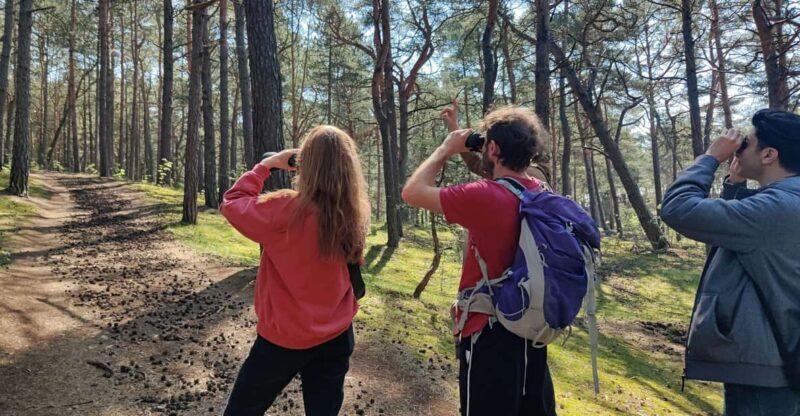 Explore Sobieszewo Island: Nature Walk & Wildlife Tour - The Sum Up