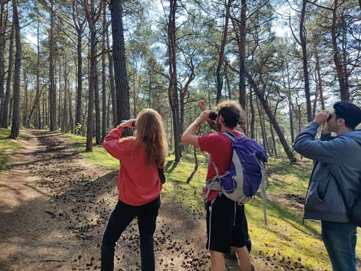 Explore Sobieszewo Island: Nature Walk & Wildlife Tour - FAQ