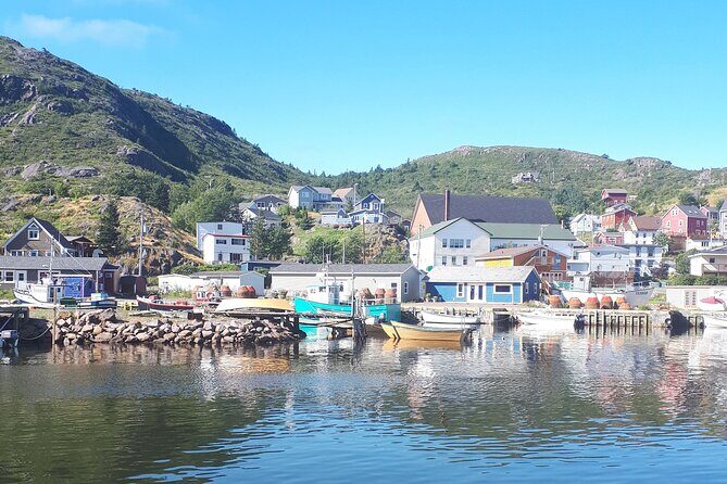 Explore St. John's Scenic Bus Tour to Cape Spear and Quidi Vidi - What You Get and How to Make the Most of It