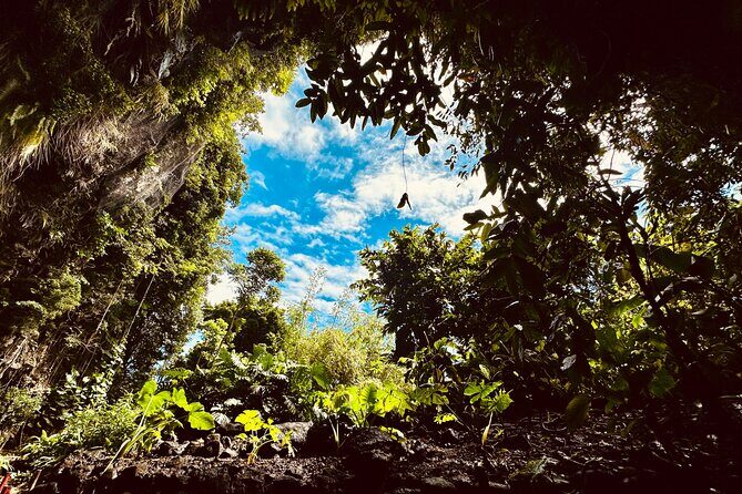 Explore Tahiti Nui, its landscapes and iconic sites. - A Closer Look at What You’ll Experience