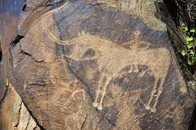 Explore Tanbaly and Tamgaly Tas in 1 day! - Who Is This Tour Best For?