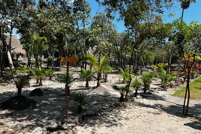 Explore the Ancient Wonders: Mayan Ruins 'El Meco' in Cancun - A Practical Guide to the El Meco Tour Experience