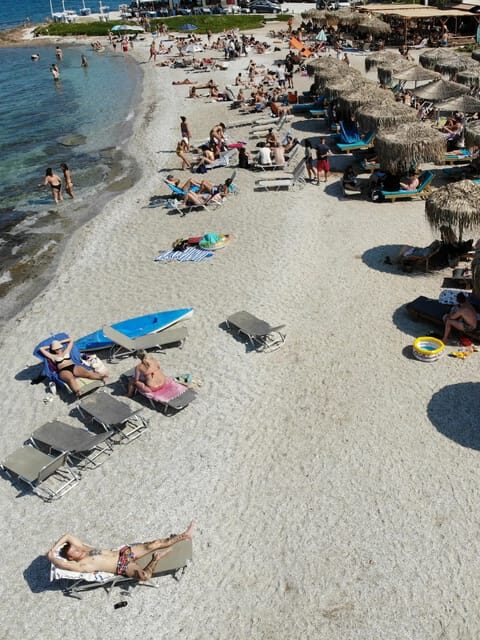 Explore the Athenian Riviera with food and wine - Practical Tips for Your Day