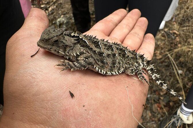 Explore the Caves of an Inactive Volcano on CDMX - Frequently Asked Questions (FAQs)