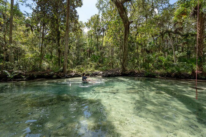 Explore The Chaz: Exclusive Clear Kayak Tours Near Crystal River - Why Choose This Tour?
