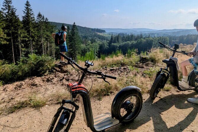 Explore the forests of Haut Languedoc on an electric scooter - Exploring the Forests of Haut Languedoc on an Electric Scooter – Is It Worth It?