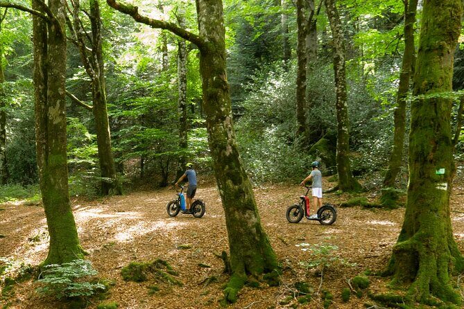 Explore the forests of Haut Languedoc on an electric scooter - Key Points