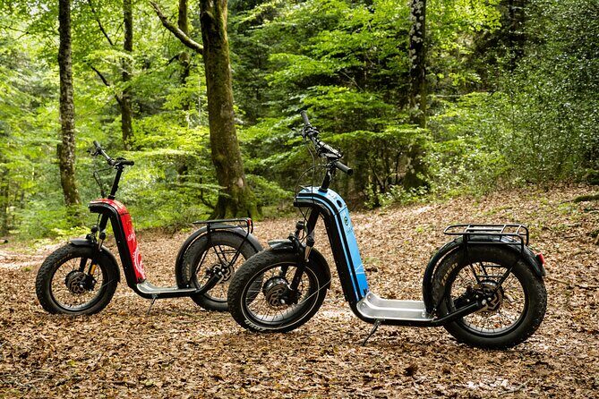 Explore the forests of Haut Languedoc on an electric scooter - Who Will Love This Experience?