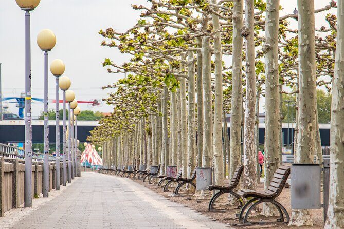 Explore the Instaworthy Spots of Dusseldorf with a Local - The Itinerary: What Youll See and Do