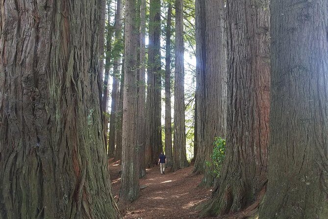 Explore The Lakes Tour - The Value of the Explore The Lakes Tour