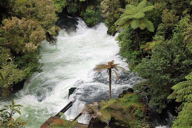 Explore The Lakes Tour - Who Should Consider This Tour?