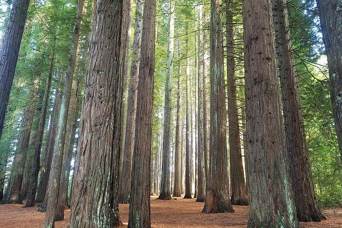 Explore The Lakes Tour - Final Thoughts