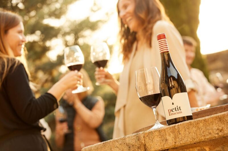 Explore the Legacy of Arganzas 19th-Century Winery - The Price and Value