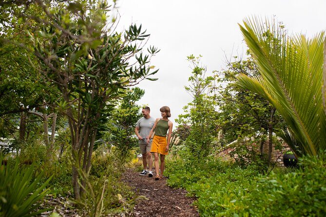 Explore the legacy of artist, ecologist, architect, visionary - Who is this tour best for?