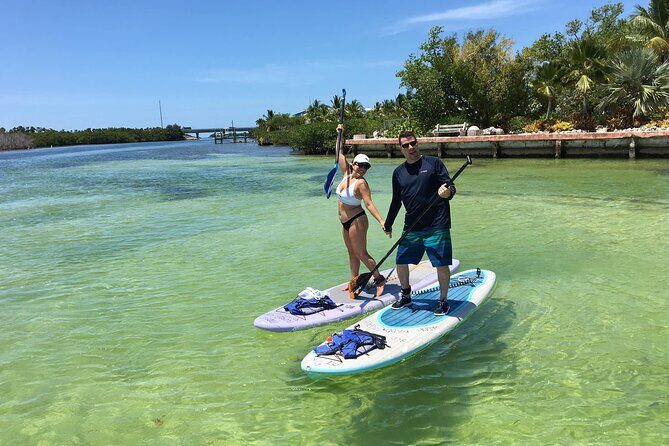 Explore the Mangrove Creeks with an ALL Day Tandem Kayak Rental - What You Can Expect on Your Paddle