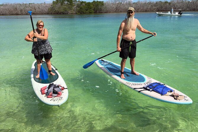 Explore the Mangrove Creeks with an ALL Day Tandem Kayak Rental - Final Thoughts