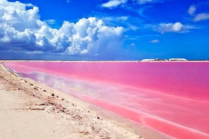 Explore the Nature: Las Coloradas & Rio Lagartos from Playa del Carmen - Who Is This Tour Best For?
