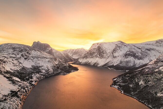 Explore the Norwegian Fjords and the Wildlife From Abisko - Key Points