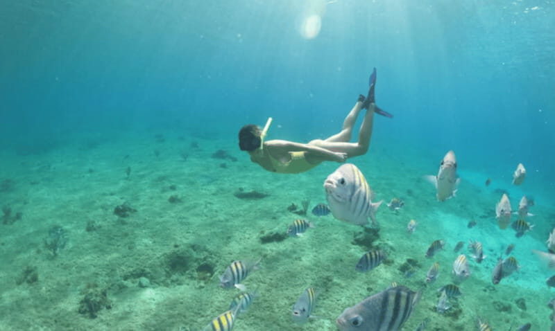 Explore the sea of cozumel in a transprent boat with drinks and snorkel. - Practical Details and Tips