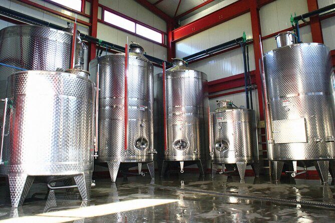 Explore the Secrets of Wine and Olives - Who Would Enjoy This Tour?