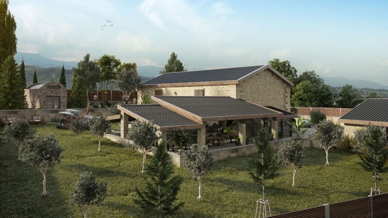 Explore the Secrets of Wine and Olives in Chania - Final Thoughts