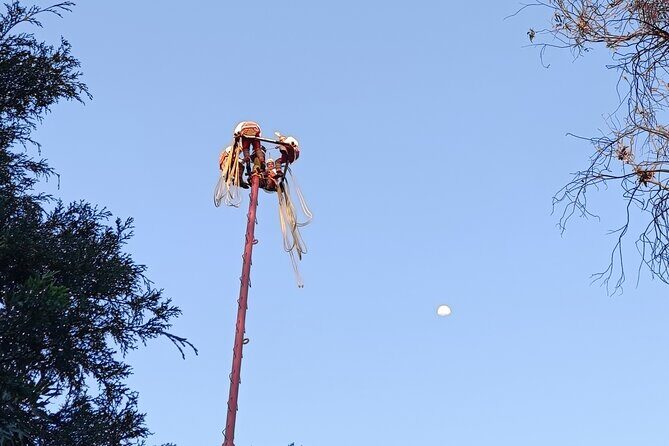 Explore the Underworld at the National Museum of Anthropology - The Sum Up