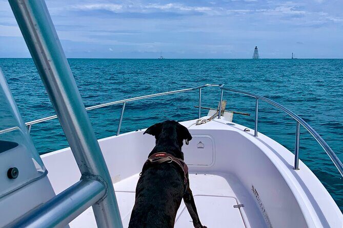 Explore the Waters of Key West - The Itinerary: What to Expect During Your Day on the Water