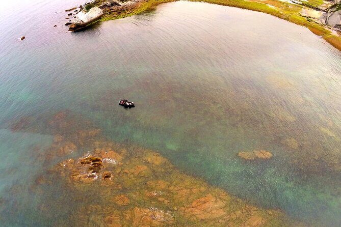 Explore the Wild Beauty of the Basque Coast by Boat - The Experience in Detail
