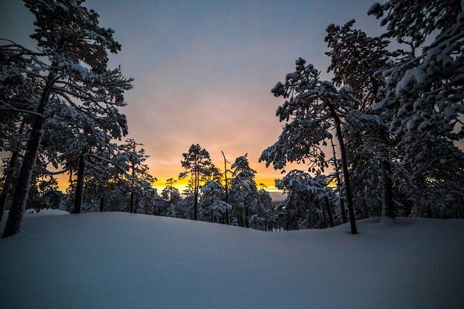 Explore the Wilderness - Final Thoughts