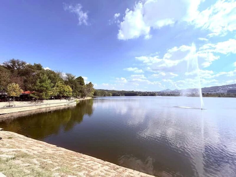 Explore Tirana in six hours with a Local Driver - Final Thoughts: Who Is This Tour Best For?