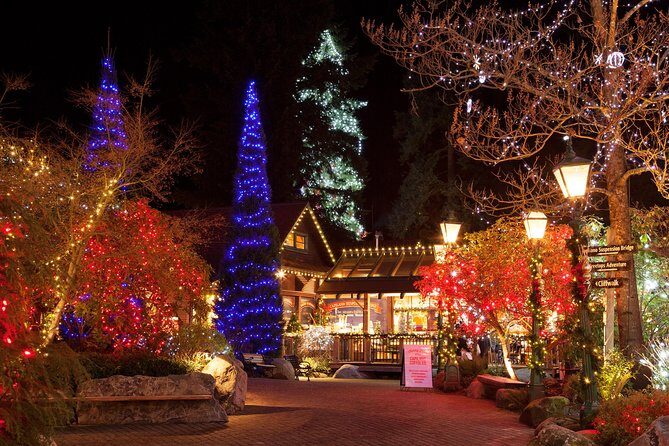 Explore Vancouver City & Capilano Suspension Bridge Canyon Lights - Who Will Love This Tour?