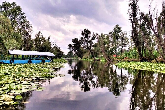 Explore Xochimilcos Canals, Markets, Art & Anahuacalli Museum - What’s Included and What’s Not