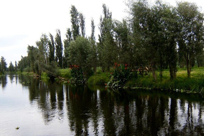 Explore Xochimilcos Canals, Markets, Art & Anahuacalli Museum - FAQ