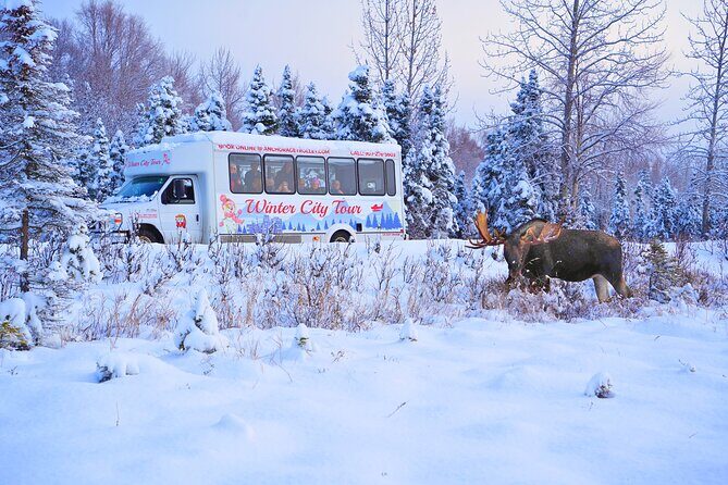 Exploring Anchorage on Winter Sundays - Who Would Enjoy This Tour?