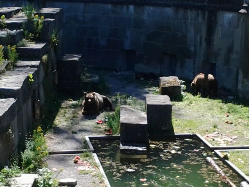 Exploring Bern: Swiss Capital Private Walking Half-Day Tour - Exploring Bern: Swiss Capital Private Walking Half-Day Tour