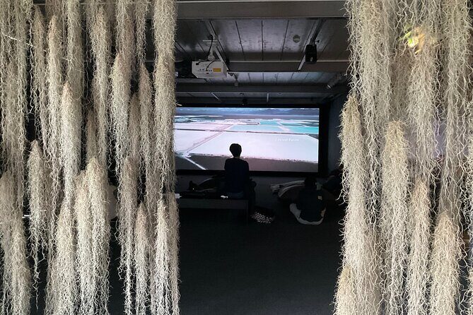 Exploring contemporary art: Private tour of museums with Tickets - Key Points