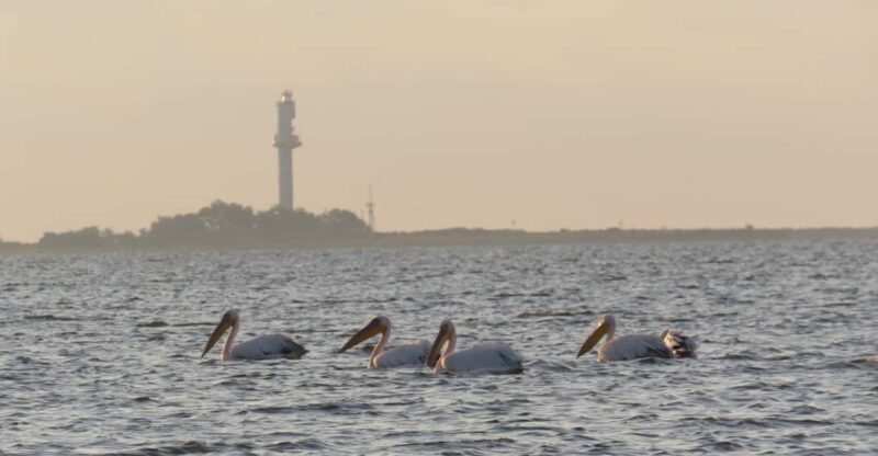 Exploring the Magic of the Danube Delta through photo lenses - An In-Depth Look at the Danube Delta Photo Tour