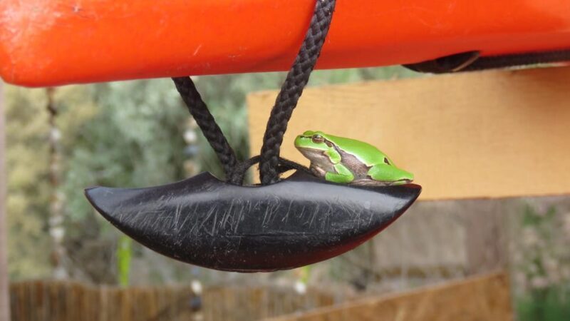 Exploring the Magic of the Danube Delta through photo lenses - Who Should Sign Up?