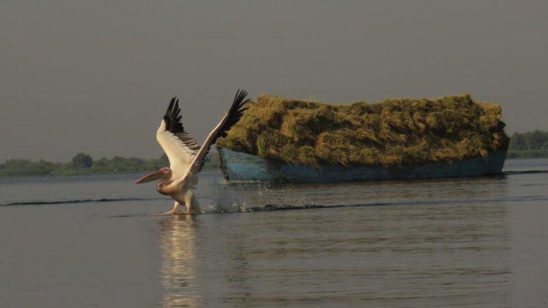 Exploring the Magic of the Danube Delta through photo lenses - FAQs