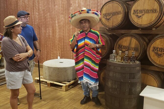 Extraordinary Cancun Van City Tour - Included Transportation - The Real Value of the Tour