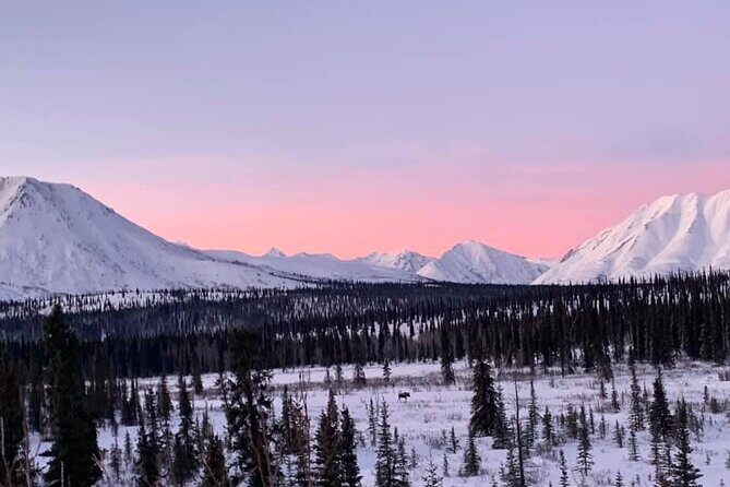 Extreme Cold Clothing Pkg - (Parka Snowpant Bibs Boots) No Tour - Why renting makes sense in Fairbanks