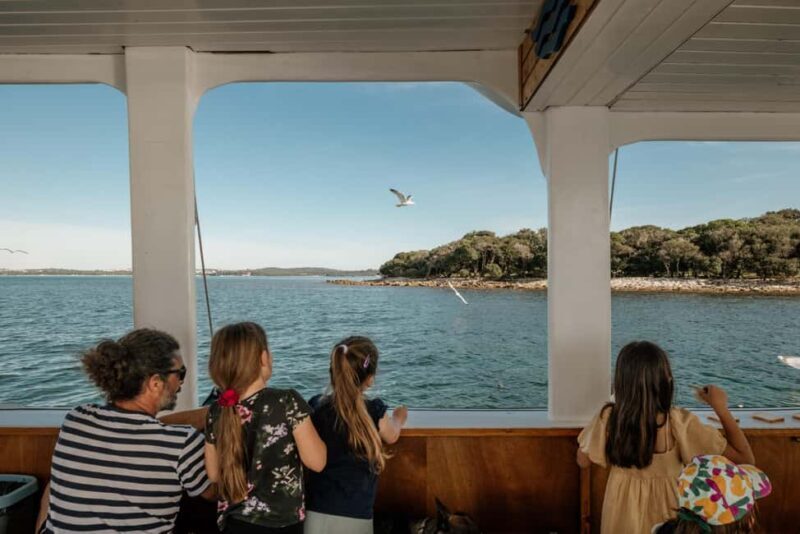 Faana: Glass Boat Tour of Brijuni National Park - A Closer Look at the Experience