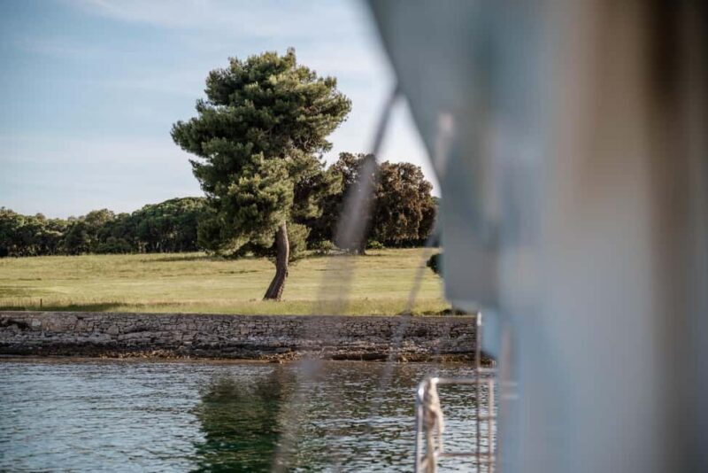 Faana: Glass Boat Tour of Brijuni National Park - The Reviews Speak