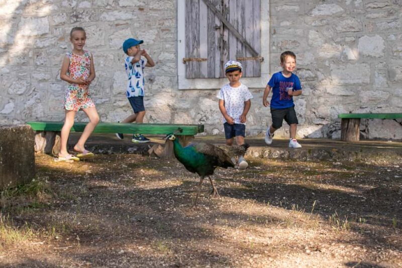 FAANA: PANORAMA NP BRIJUNI AND ISLAND SWIMMING STOP - The Realities: Pros and Cons