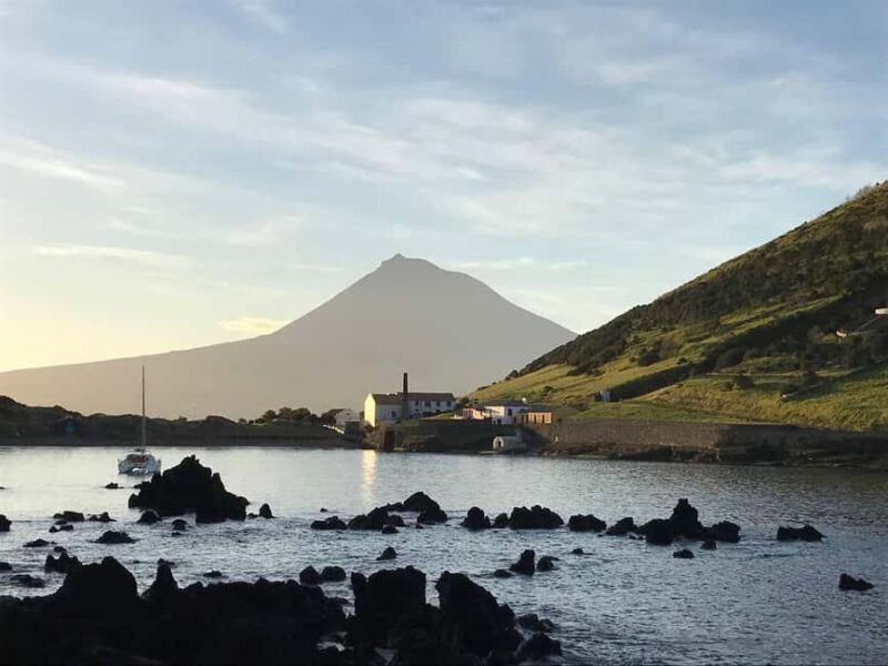 Faial Island Guided Eco Tour - Who Would Love This Tour?