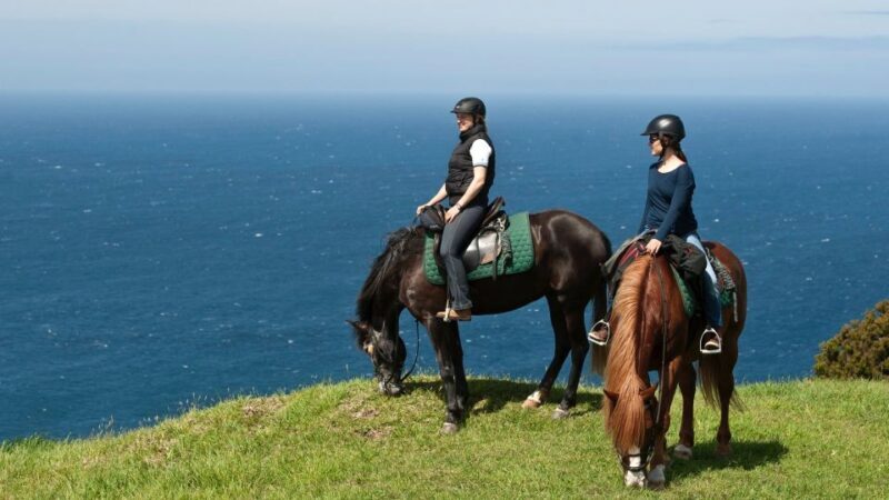 Faial Island: Horseback Riding (3 hrs - Experienced Riders) - The Experience Overview