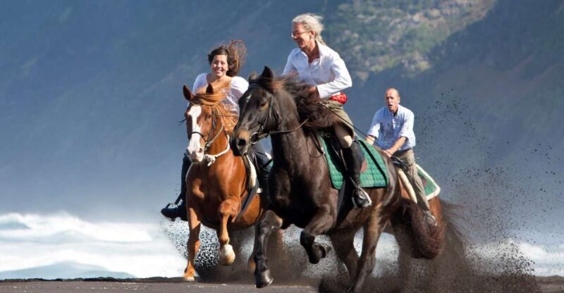 Faial Island: Horseback Riding (3 hrs - Experienced Riders) - The Horses and the Guides
