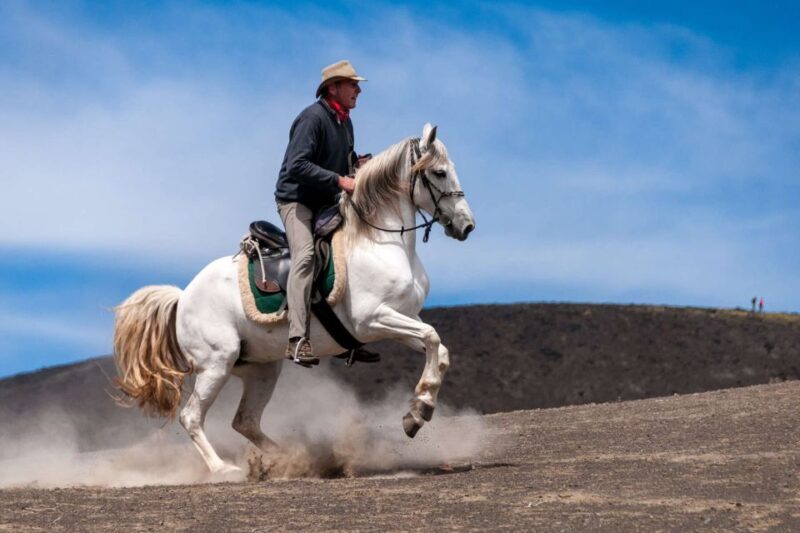 Faial Island: Horseback Riding (3 hrs - Experienced Riders) - Who Should Consider This Tour?