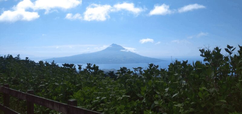 Faial Island: Personalized tour with Pic Nic - The Fine Print: What’s Included?