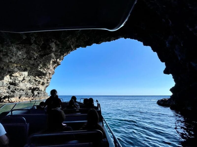 Faial Island: Unique boat tour to the Capelinhos volcano - An In-Depth Look at the Faial Boat Tour Experience